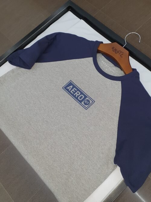 Camiseta Aeropostale Masculina Cinza Multicolor Estampa Clássica