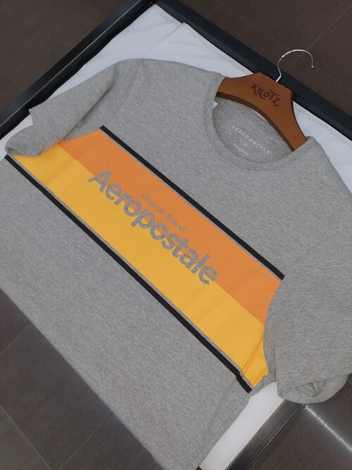 Camiseta Aeropostale Masculina Cinza Gelo Estampa Centralizada