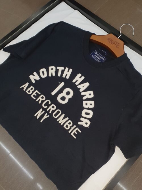 Camiseta Abercrombie Masculina Petróleo Estampa NY