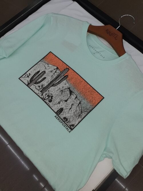 Camiseta Aeropostale Masculina Verde Água Estampa Cactus