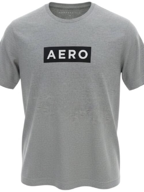 Camiseta Aeropostale Masculina Cinza Estampa Clássica