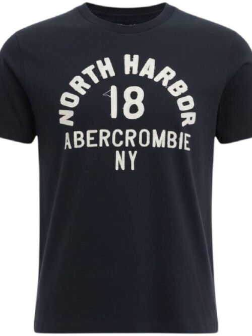 Camiseta Abercrombie Masculina Petróleo Estampa NY