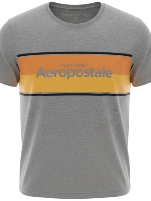 Camiseta Aeropostale Masculina Cinza Gelo Estampa Centralizada
