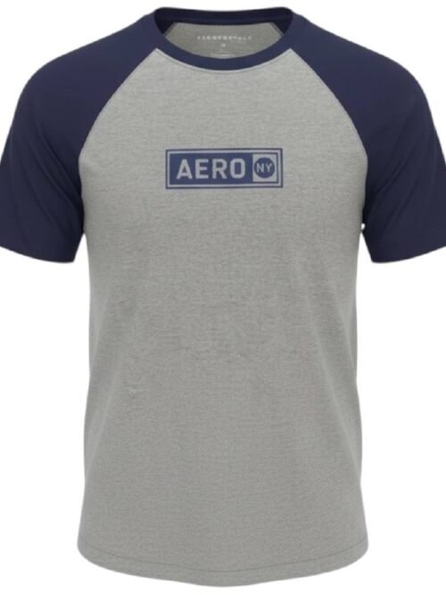 Camiseta Aeropostale Masculina Cinza Multicolor Estampa Clássica