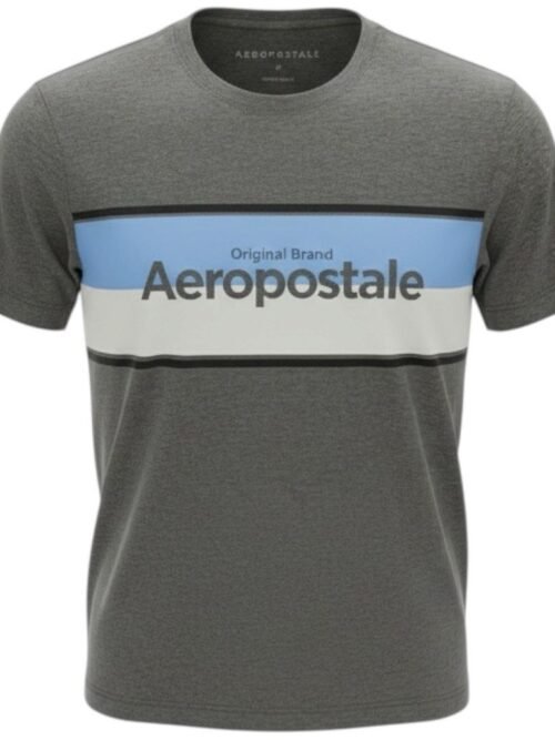 Camiseta Aeropostale Masculina Chumbo Estampa Centralizada Azul e Branco