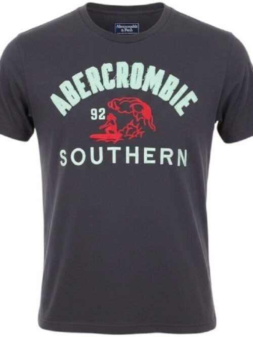 Camiseta Abercrombie Masculina Grafite Estampa Southern 92