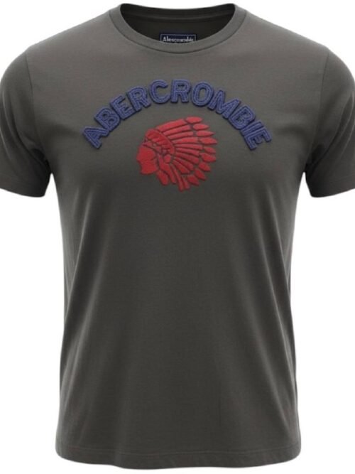 Camiseta Abercrombie Masculina Chumbo Estampa Índio Colorado